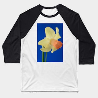 Narcissus  &#39;Prototype&#39;   Division 6 Cyclamineus Daffodil Baseball T-Shirt